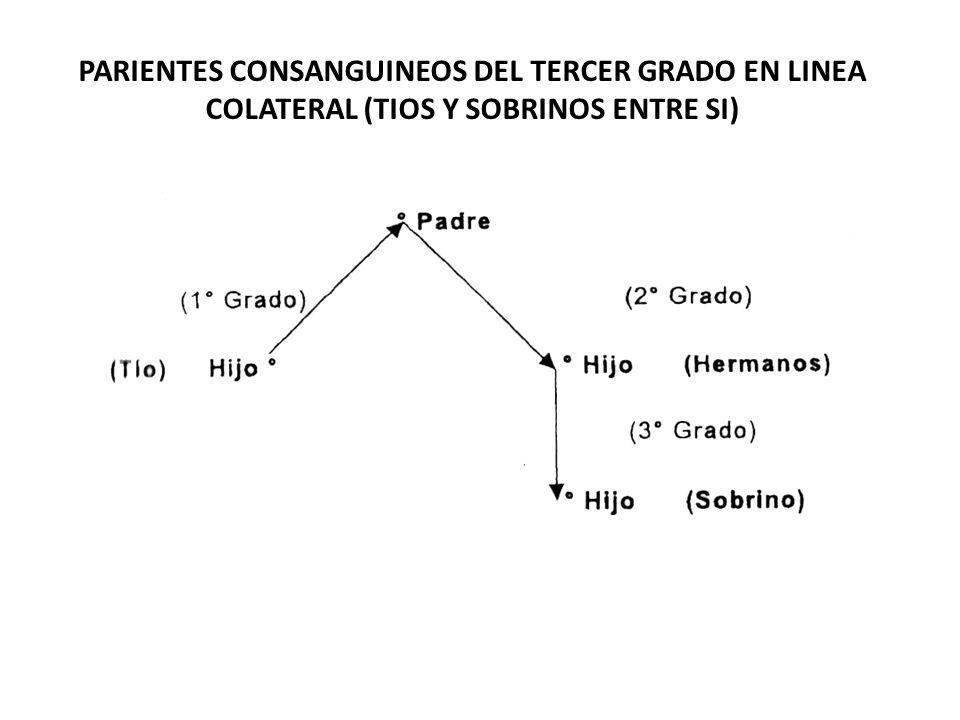 PARIENTES CONSANGUINEOS DEL TERCER GRADO EN LINEA COLATERAL (TIOS Y SOBRINOS ENTRE SI)