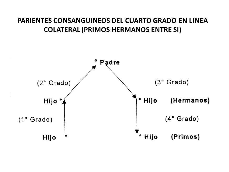 PARIENTES CONSANGUINEOS DEL CUARTO GRADO EN LINEA COLATERAL (PRIMOS HERMANOS ENTRE SI)