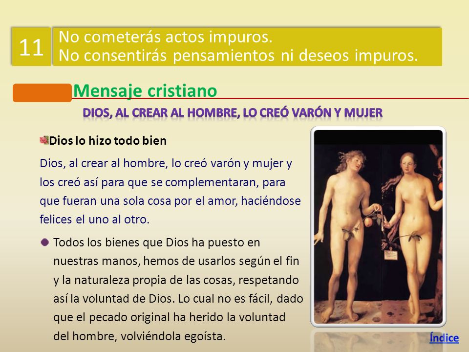 Dios, al crear al hombre, lo creó varón y mujer
