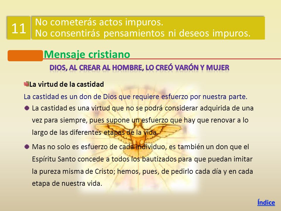 Dios, al crear al hombre, lo creó varón y mujer