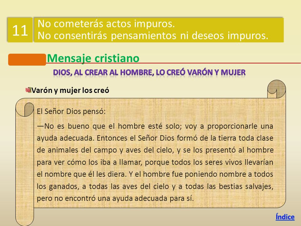 Dios, al crear al hombre, lo creó varón y mujer