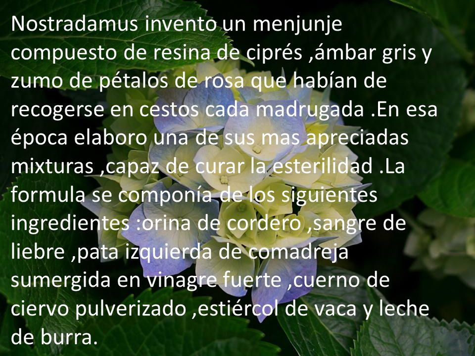 Nostradamus invento un menjunje compuesto de resina de ciprés ,ámbar gris y zumo de pétalos de rosa que habían de recogerse en cestos cada madrugada .En esa época elaboro una de sus mas apreciadas mixturas ,capaz de curar la esterilidad .La formula se componía de los siguientes ingredientes :orina de cordero ,sangre de liebre ,pata izquierda de comadreja sumergida en vinagre fuerte ,cuerno de ciervo pulverizado ,estiércol de vaca y leche de burra.