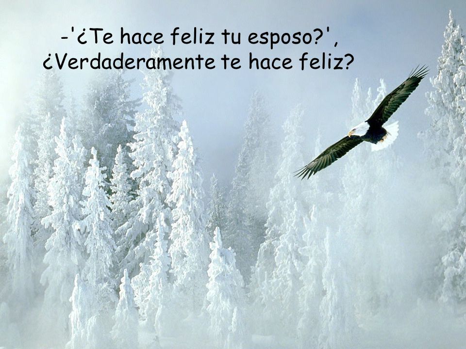 - ¿Te hace feliz tu esposo , ¿Verdaderamente te hace feliz