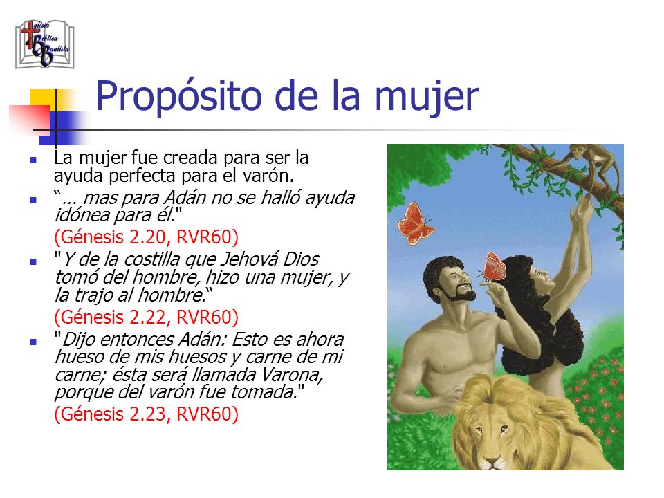 Propósito de la mujer La mujer fue creada para ser la ayuda perfecta para el varón. … mas para Adán no se halló ayuda idónea para él.