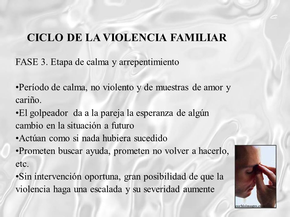 CICLO DE LA VIOLENCIA FAMILIAR