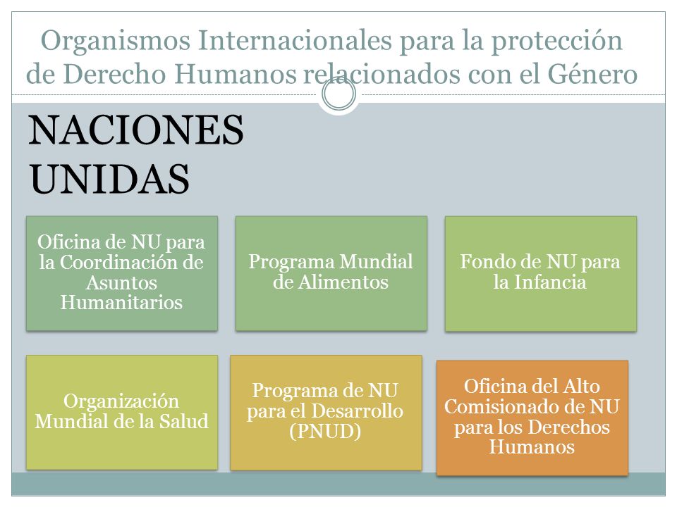 Organismos Internacionales para la protección de Derecho Humanos relacionados con el Género