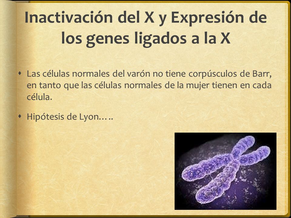 Inactivación del X y Expresión de los genes ligados a la X