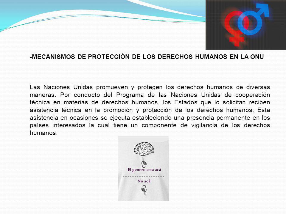 -MECANISMOS DE PROTECCIÓN DE LOS DERECHOS HUMANOS EN LA ONU