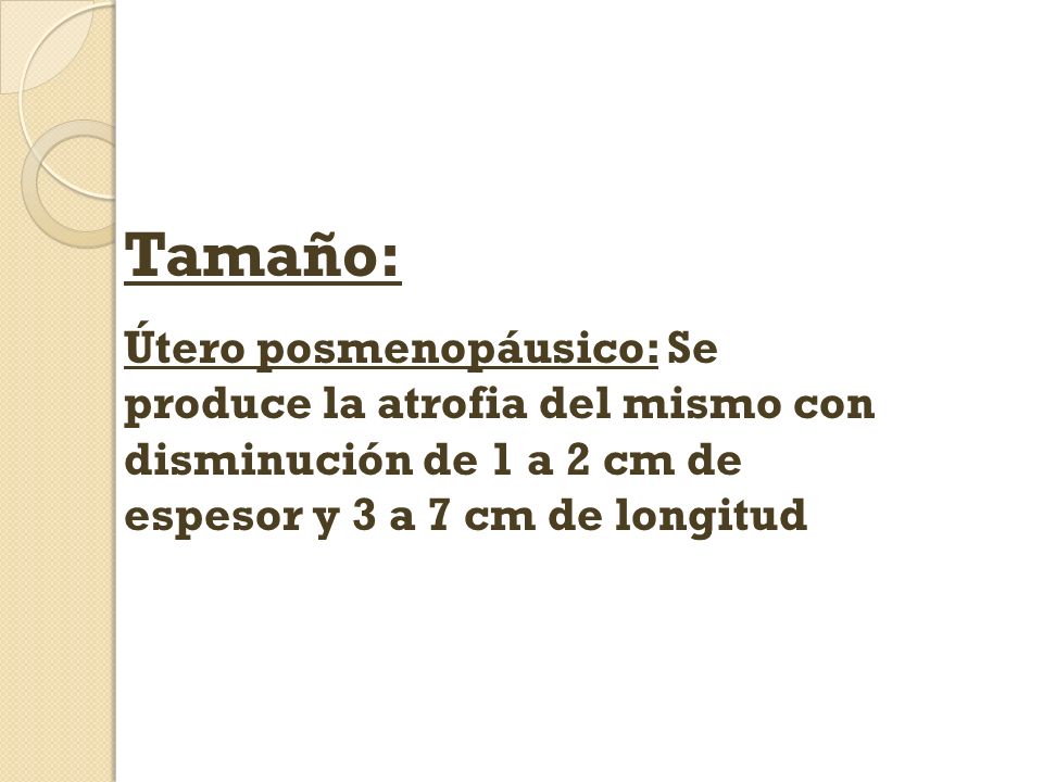 Tamaño: Útero posmenopáusico: Se produce la atrofia del mismo con disminución de 1 a 2 cm de espesor y 3 a 7 cm de longitud.