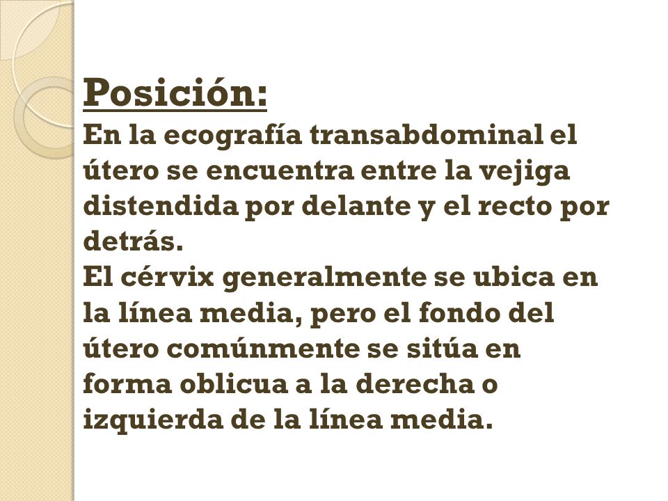 Posición: En la ecografía transabdominal el útero se encuentra entre la vejiga distendida por delante y el recto por detrás.