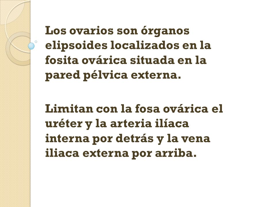 Los ovarios son órganos elipsoides localizados en la fosita ovárica situada en la pared pélvica externa.