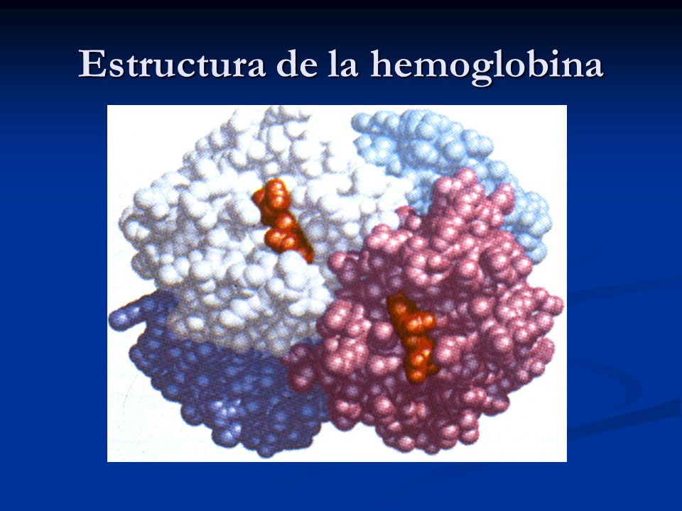 Estructura de la hemoglobina