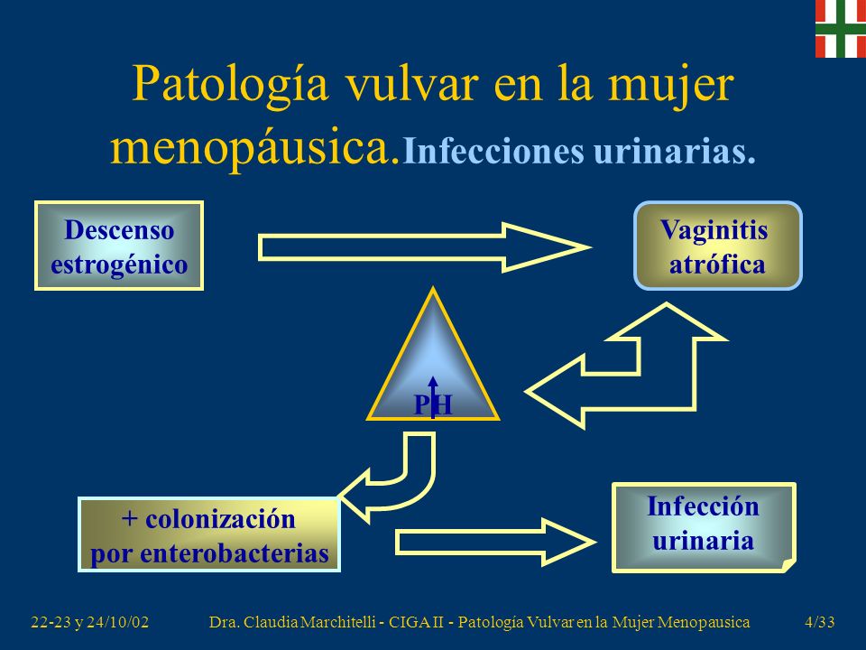 Patología vulvar en la mujer menopáusica.Infecciones urinarias.