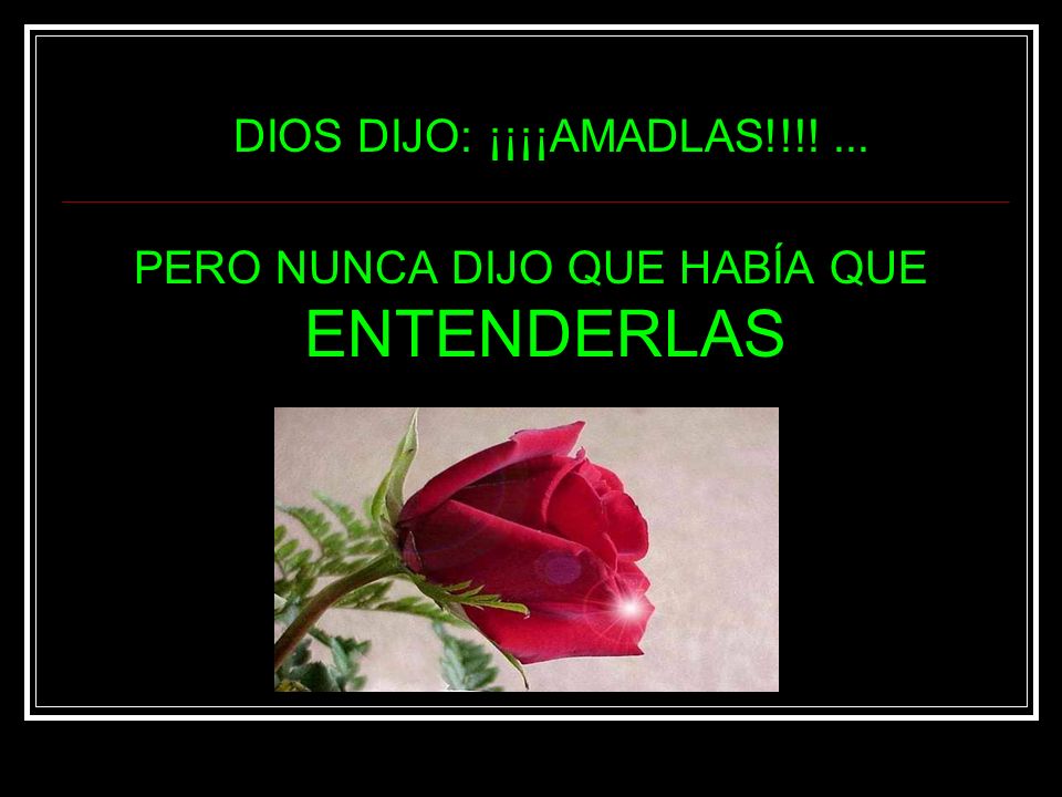 DIOS DIJO: ¡¡¡¡AMADLAS!!!! ... PERO NUNCA DIJO QUE HABÍA QUE ENTENDERLAS.