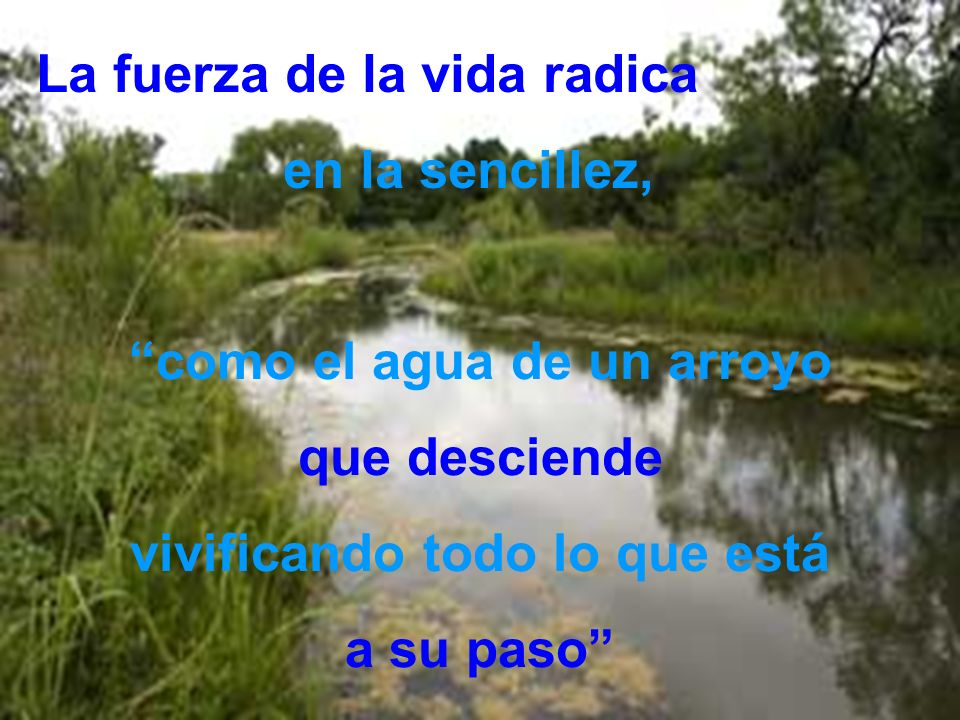 como el agua de un arroyo vivificando todo lo que está
