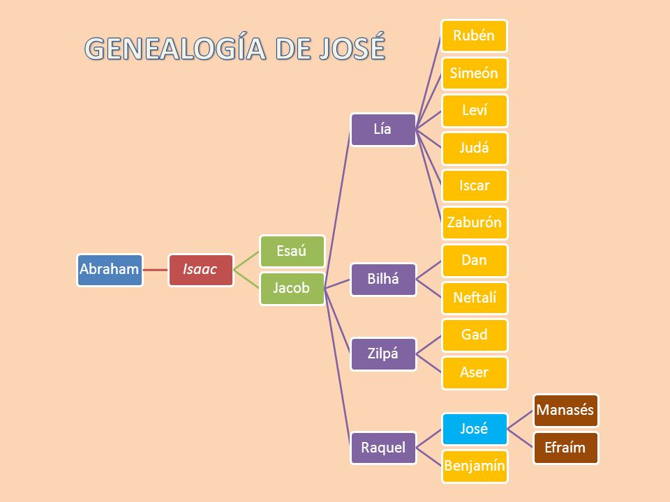 GENEALOGÍA DE JOSÉ Abraham Isaac Esaú Jacob Lía Rubén Simeón Leví Judá