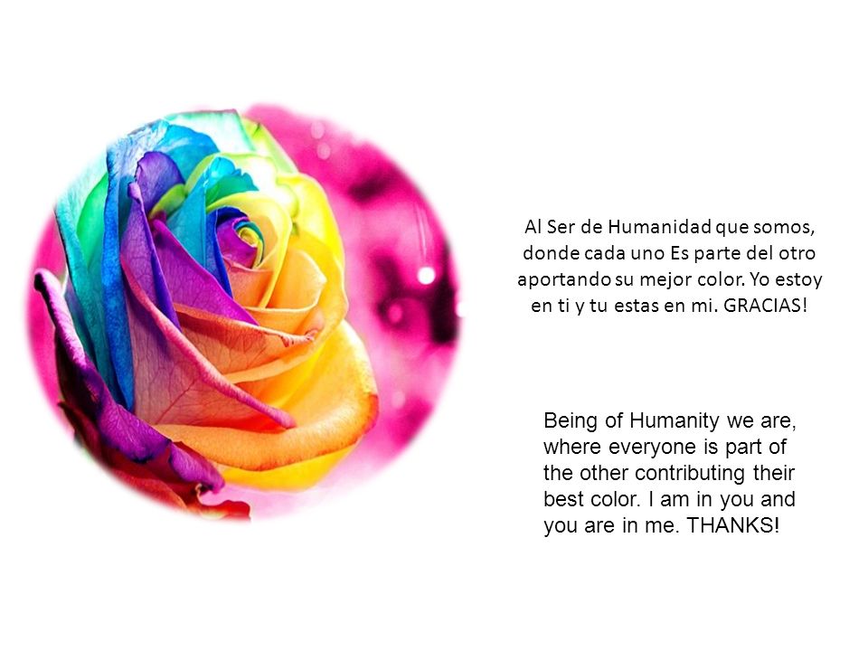 Al Ser de Humanidad que somos, donde cada uno Es parte del otro aportando su mejor color. Yo estoy en ti y tu estas en mi. GRACIAS!