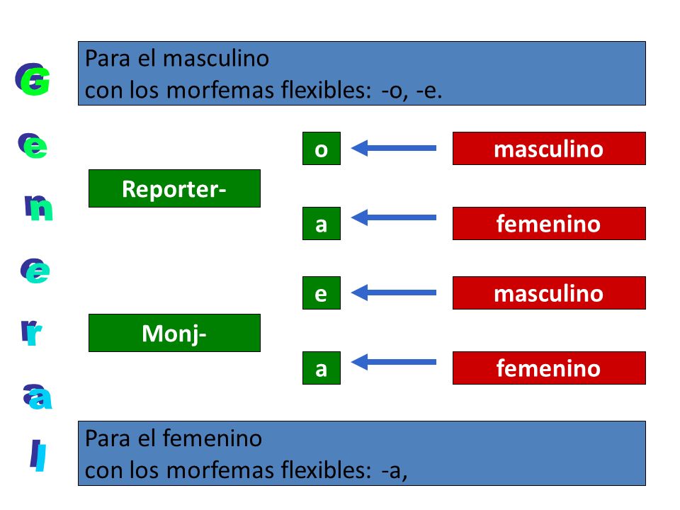 General Para el masculino con los morfemas flexibles: -o, -e. o