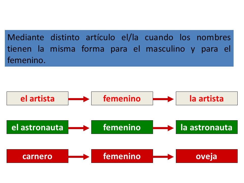 Mediante distinto artículo el/la cuando los nombres tienen la misma forma para el masculino y para el femenino.