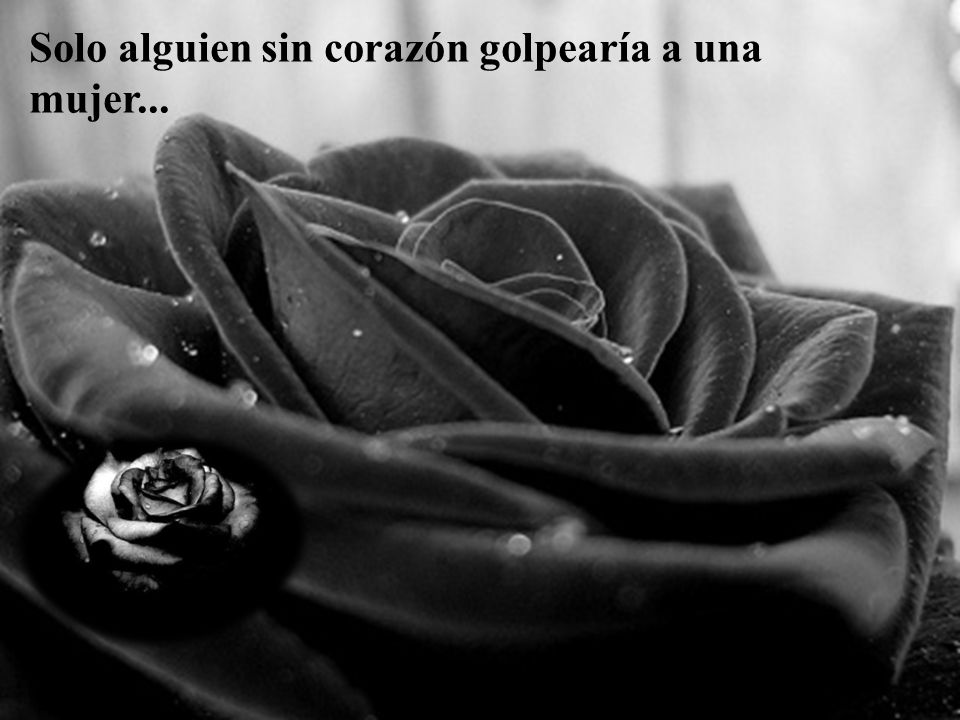 Solo alguien sin corazón golpearía a una mujer...