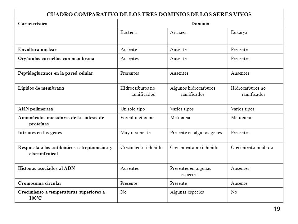 CUADRO COMPARATIVO DE LOS TRES DOMINIOS DE LOS SERES VIVOS