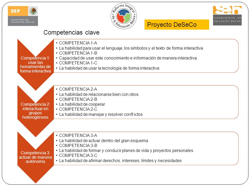 Proyecto DeSeCo Competencias clave