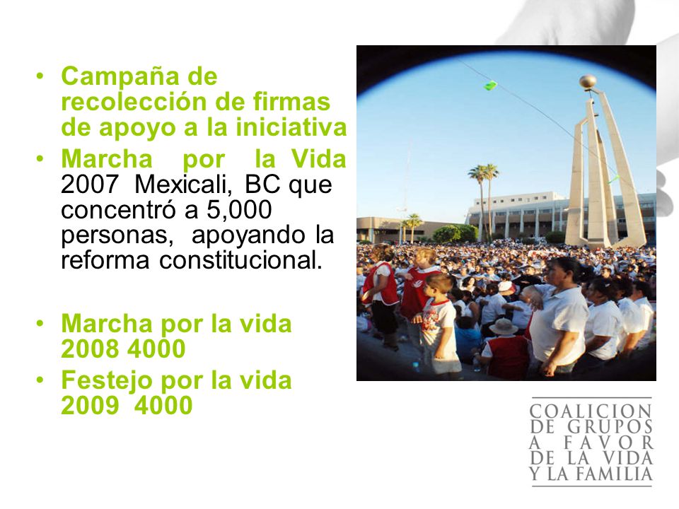 El apoyo a la propuesta se concentró en las siguientes actividades: