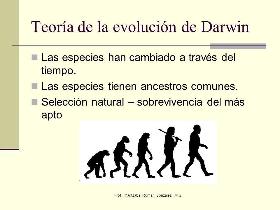 Teoría de la evolución de Darwin