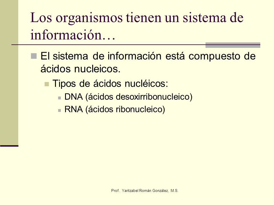 Los organismos tienen un sistema de información…
