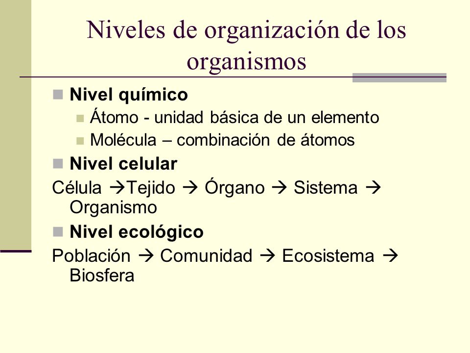 Niveles de organización de los organismos