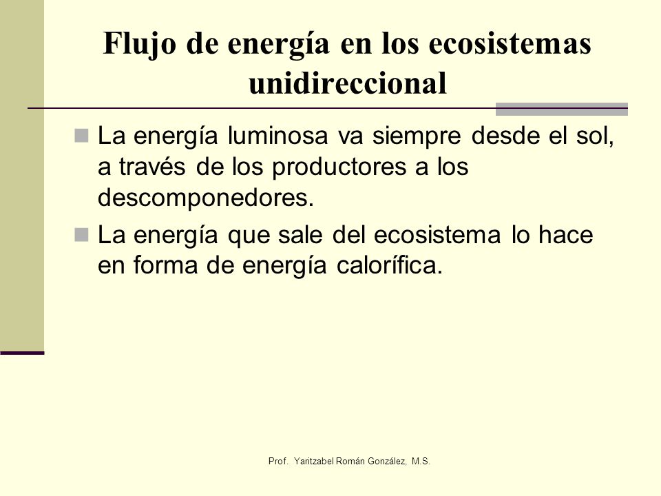 Flujo de energía en los ecosistemas unidireccional