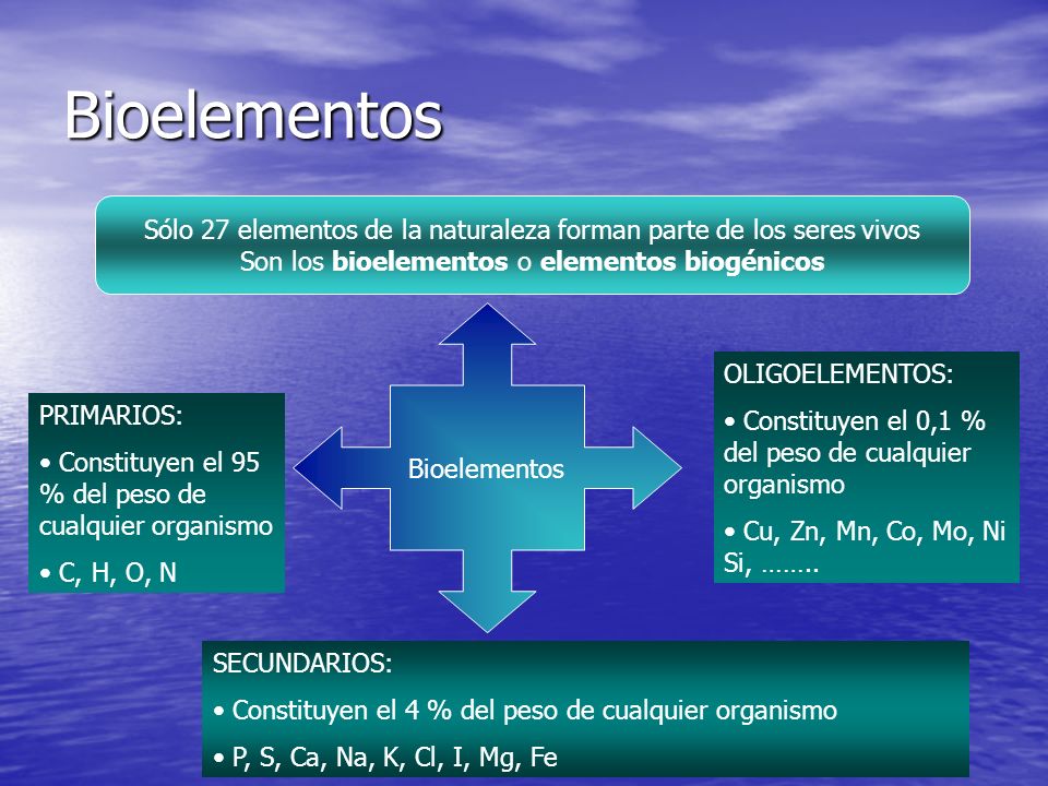 Bioelementos Sólo 27 elementos de la naturaleza forman parte de los seres vivos. Son los bioelementos o elementos biogénicos.