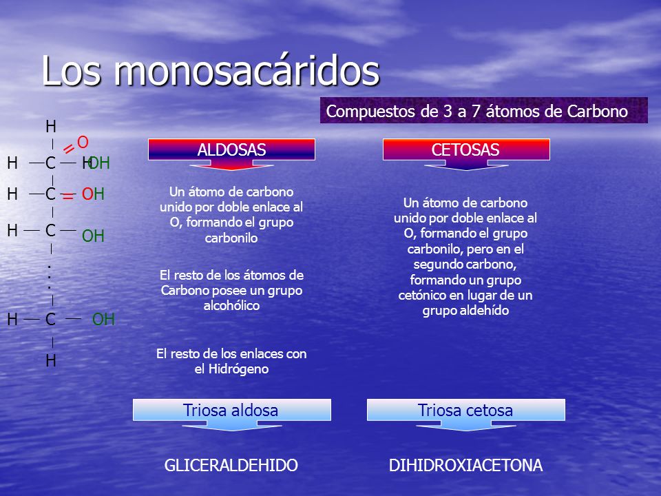Los monosacáridos = = Compuestos de 3 a 7 átomos de Carbono H O