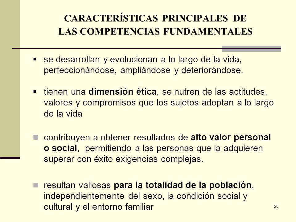 CARACTERÍSTICAS PRINCIPALES DE LAS COMPETENCIAS FUNDAMENTALES