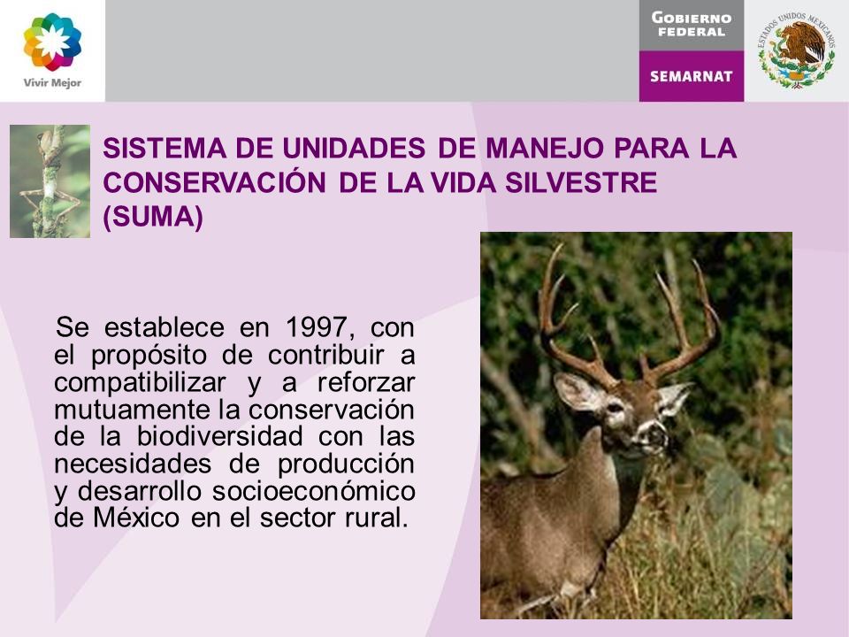 SISTEMA DE UNIDADES DE MANEJO PARA LA CONSERVACIÓN DE LA VIDA SILVESTRE