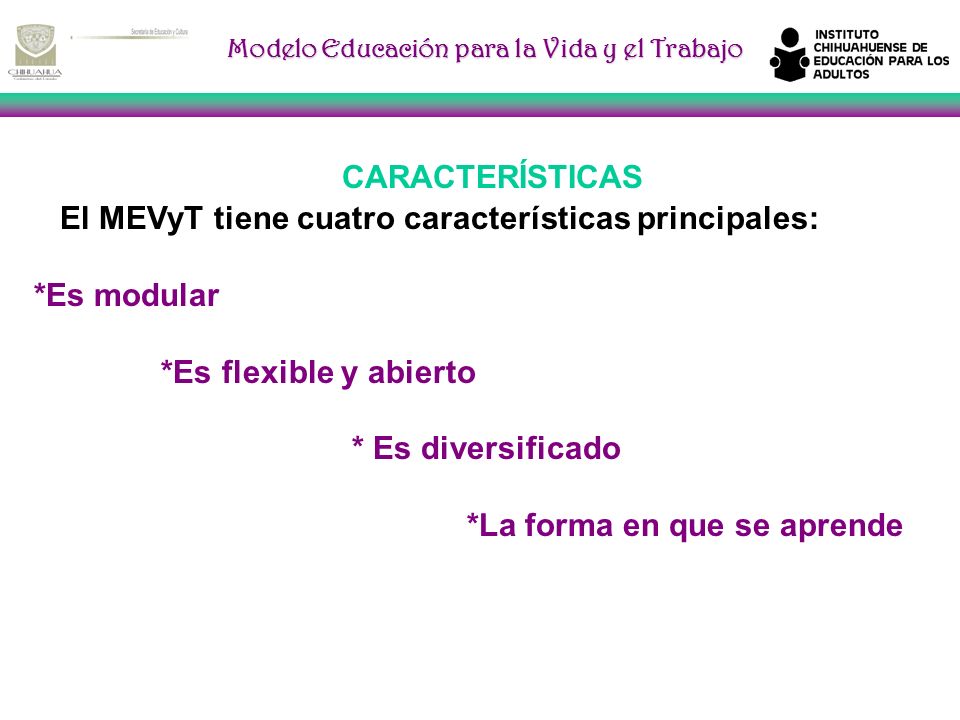 CARACTERÍSTICAS El MEVyT tiene cuatro características principales: *Es modular. *Es flexible y abierto.