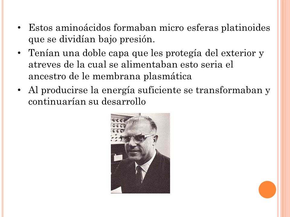 Estos aminoácidos formaban micro esferas platinoides que se dividían bajo presión.