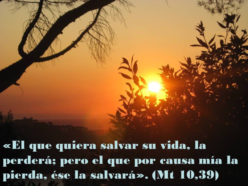 «El que quiera salvar su vida, la perderá; pero el que por causa mía la pierda, ése la salvará».