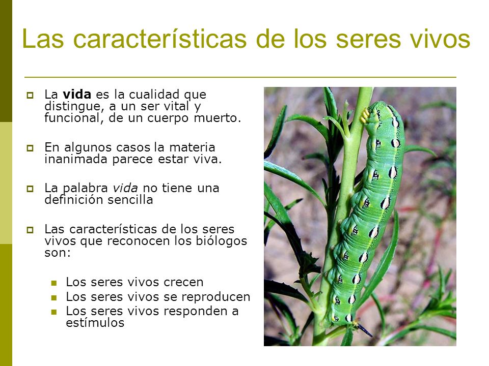 Las características de los seres vivos