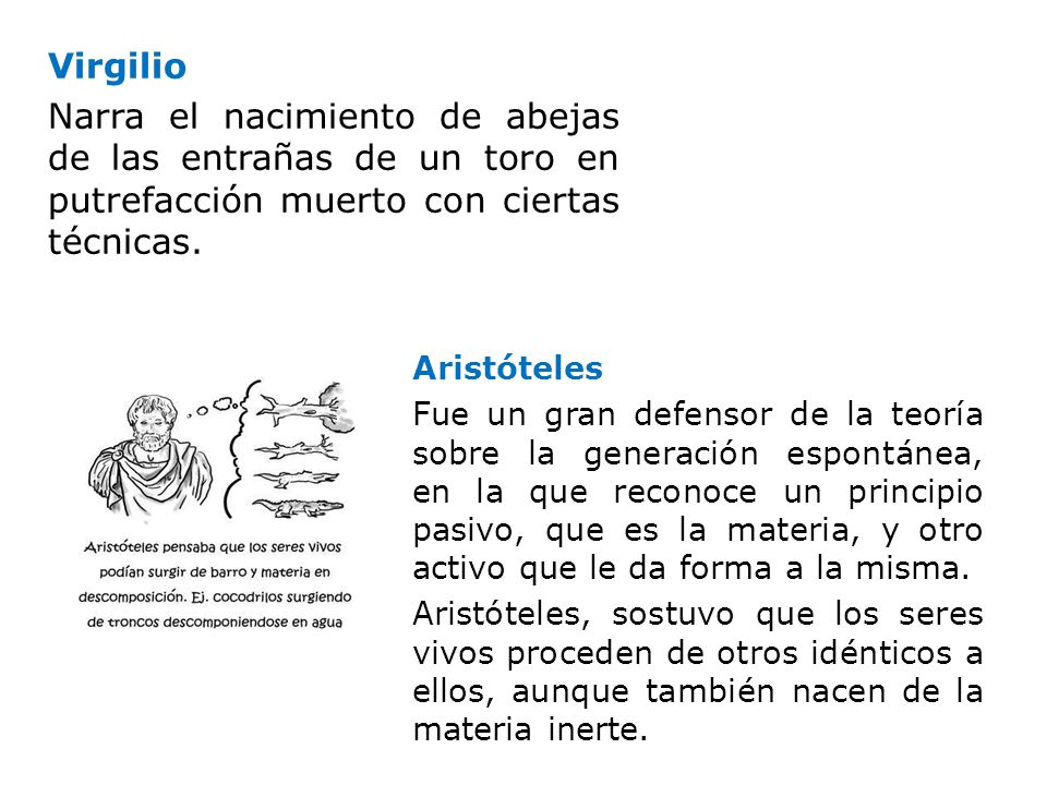 Virgilio Narra el nacimiento de abejas de las entrañas de un toro en putrefacción muerto con ciertas técnicas.