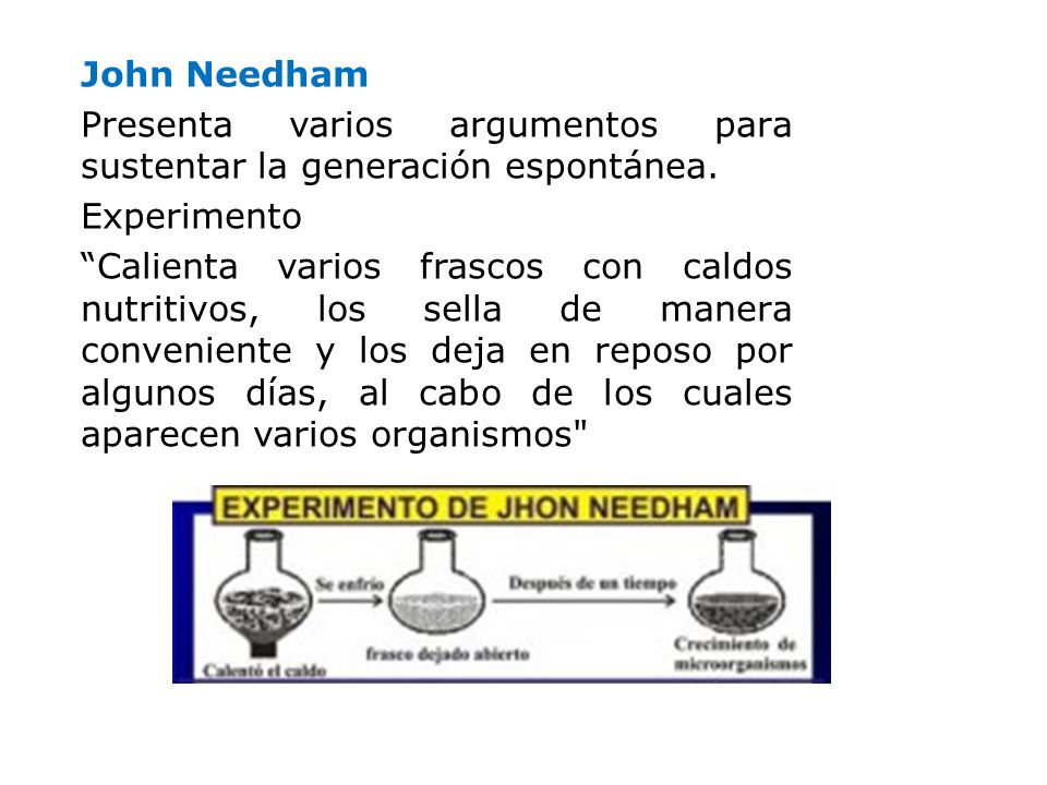 John Needham Presenta varios argumentos para sustentar la generación espontánea. Experimento.
