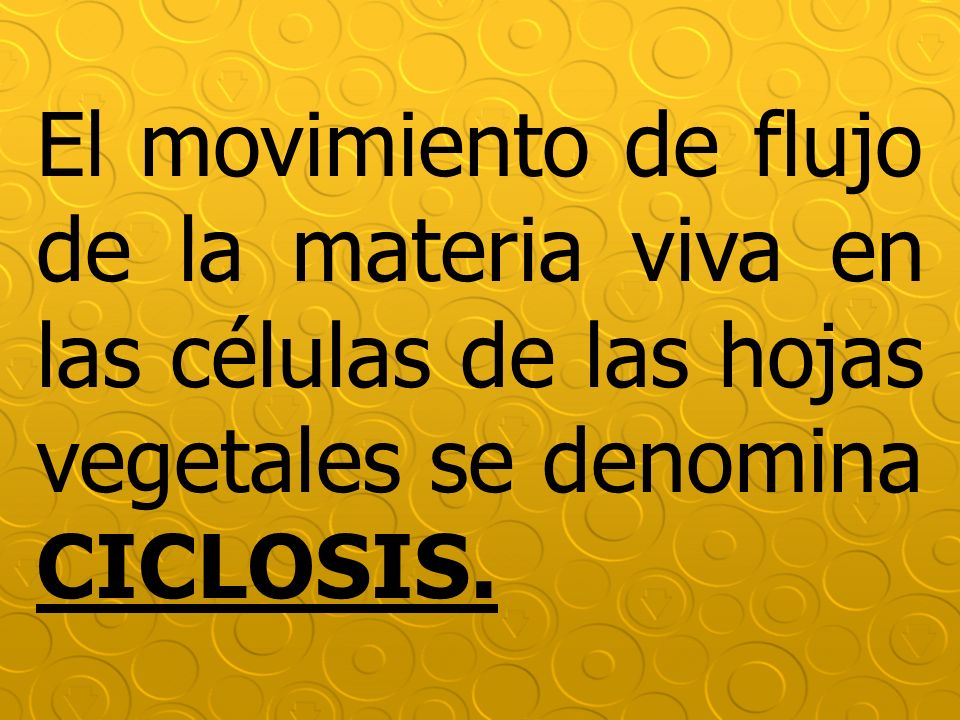 El movimiento de flujo de la materia viva en las células de las hojas vegetales se denomina CICLOSIS.
