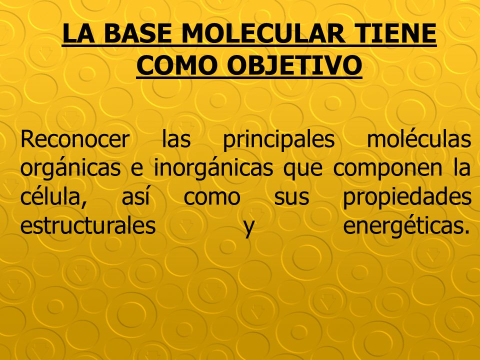 LA BASE MOLECULAR TIENE COMO OBJETIVO