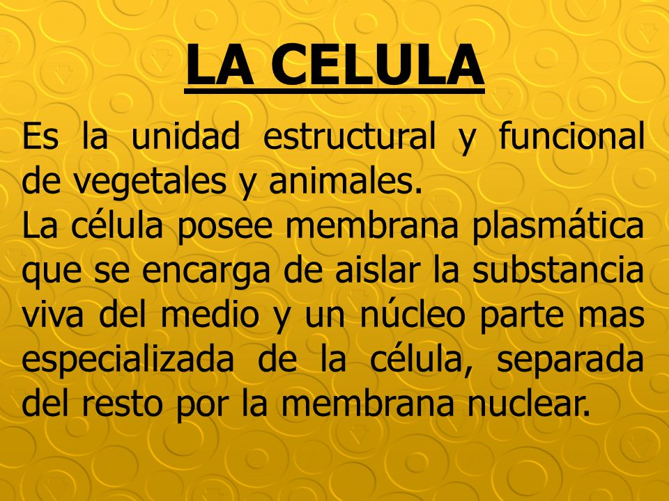 LA CELULA Es la unidad estructural y funcional de vegetales y animales.