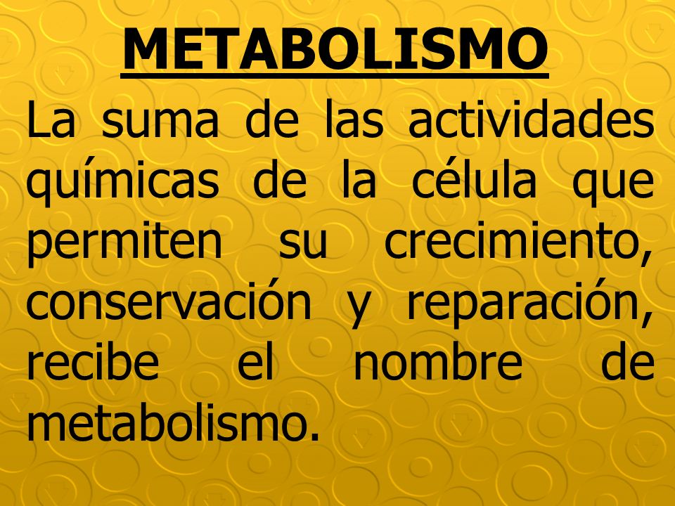 METABOLISMO La suma de las actividades químicas de la célula que permiten su crecimiento, conservación y reparación, recibe el nombre de metabolismo.