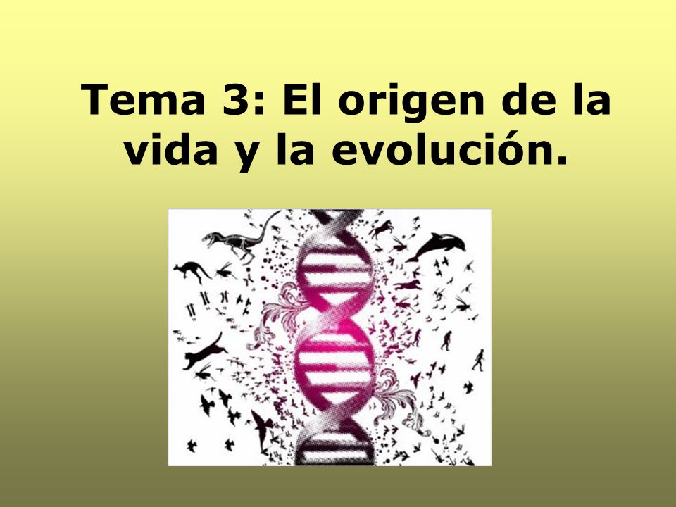 Tema 3: El origen de la vida y la evolución.