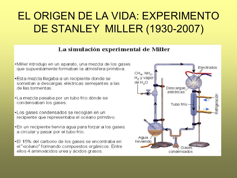 EL ORIGEN DE LA VIDA: EXPERIMENTO DE STANLEY MILLER ( )