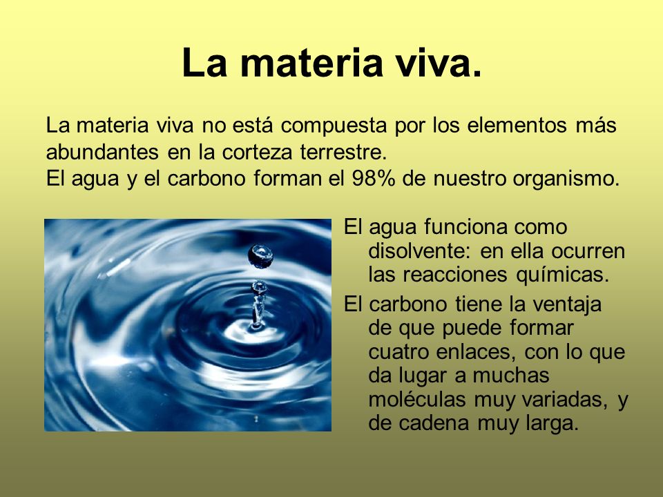 La materia viva. La materia viva no está compuesta por los elementos más abundantes en la corteza terrestre.