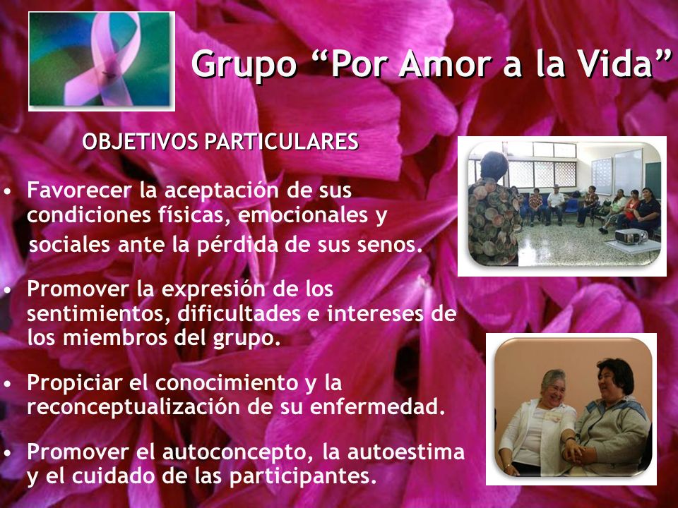 Grupo Por Amor a la Vida OBJETIVOS PARTICULARES