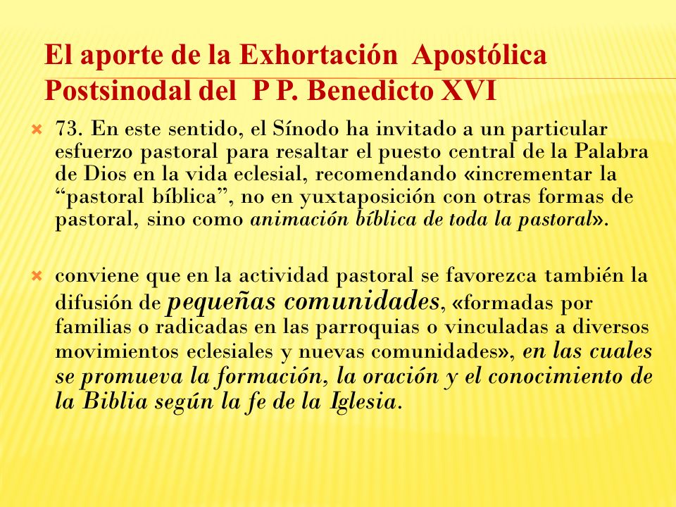 El aporte de la Exhortación Apostólica Postsinodal del P P